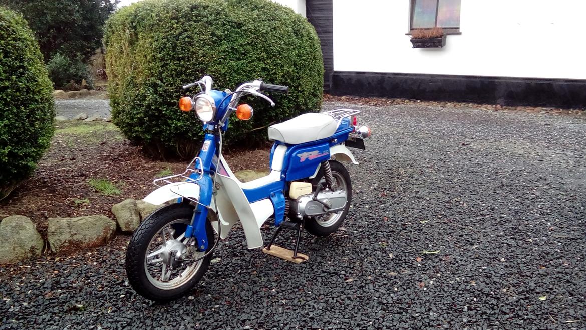 Suzuki FZ50 billede 5