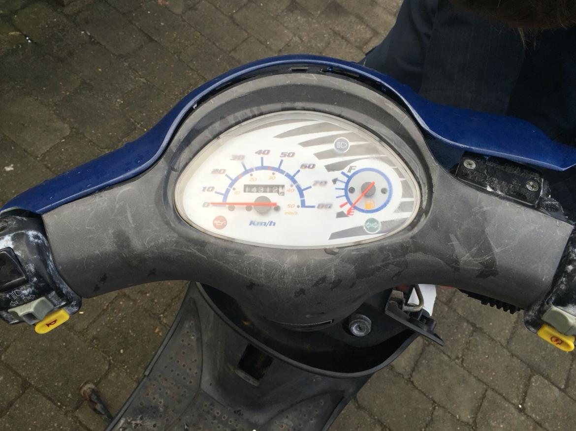 PGO White magic billede 2