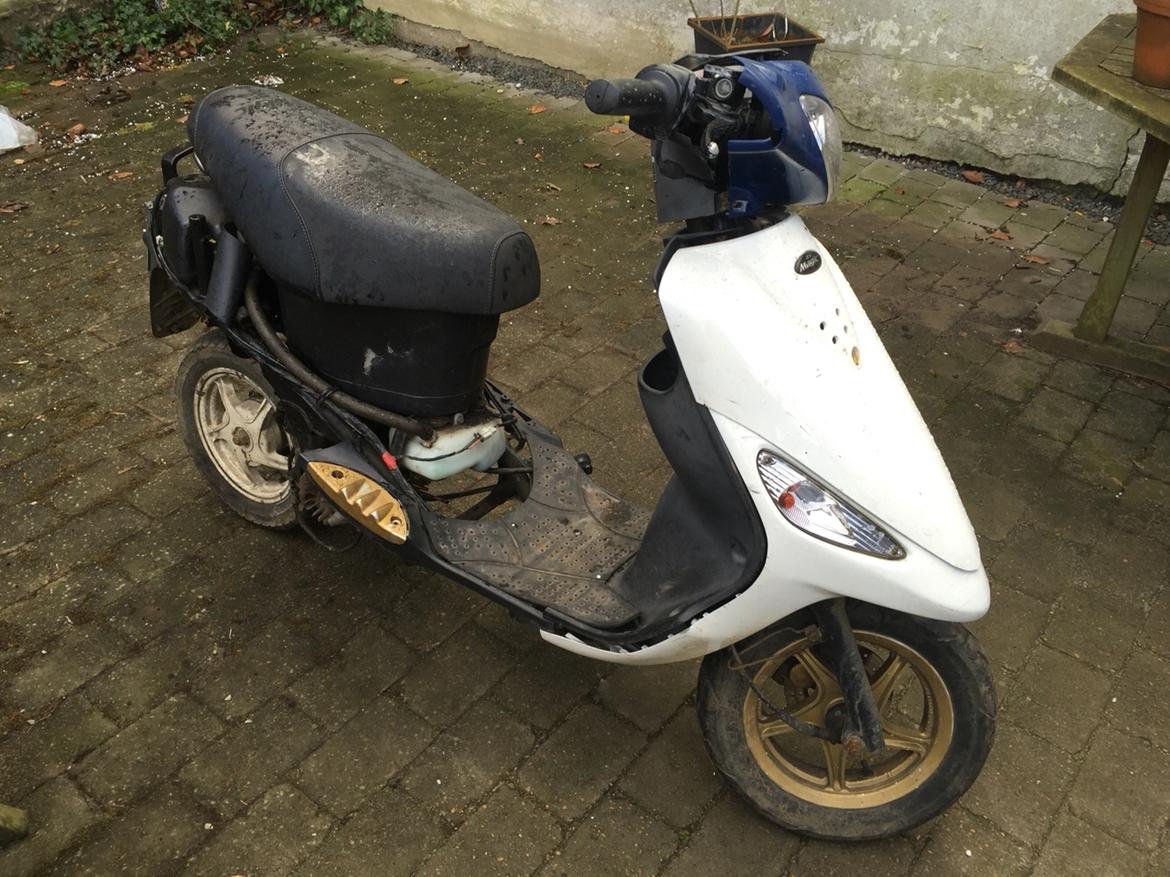 PGO White magic billede 1