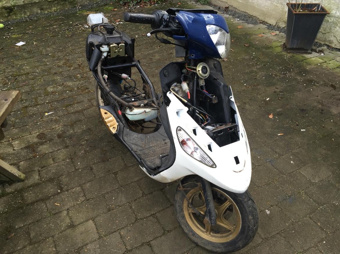 PGO White magic billede 6