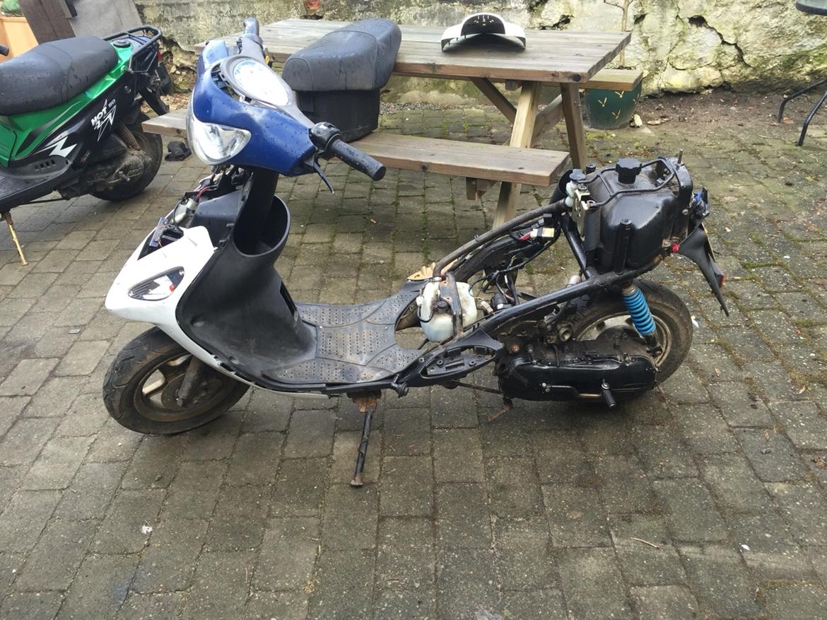 PGO White magic billede 5