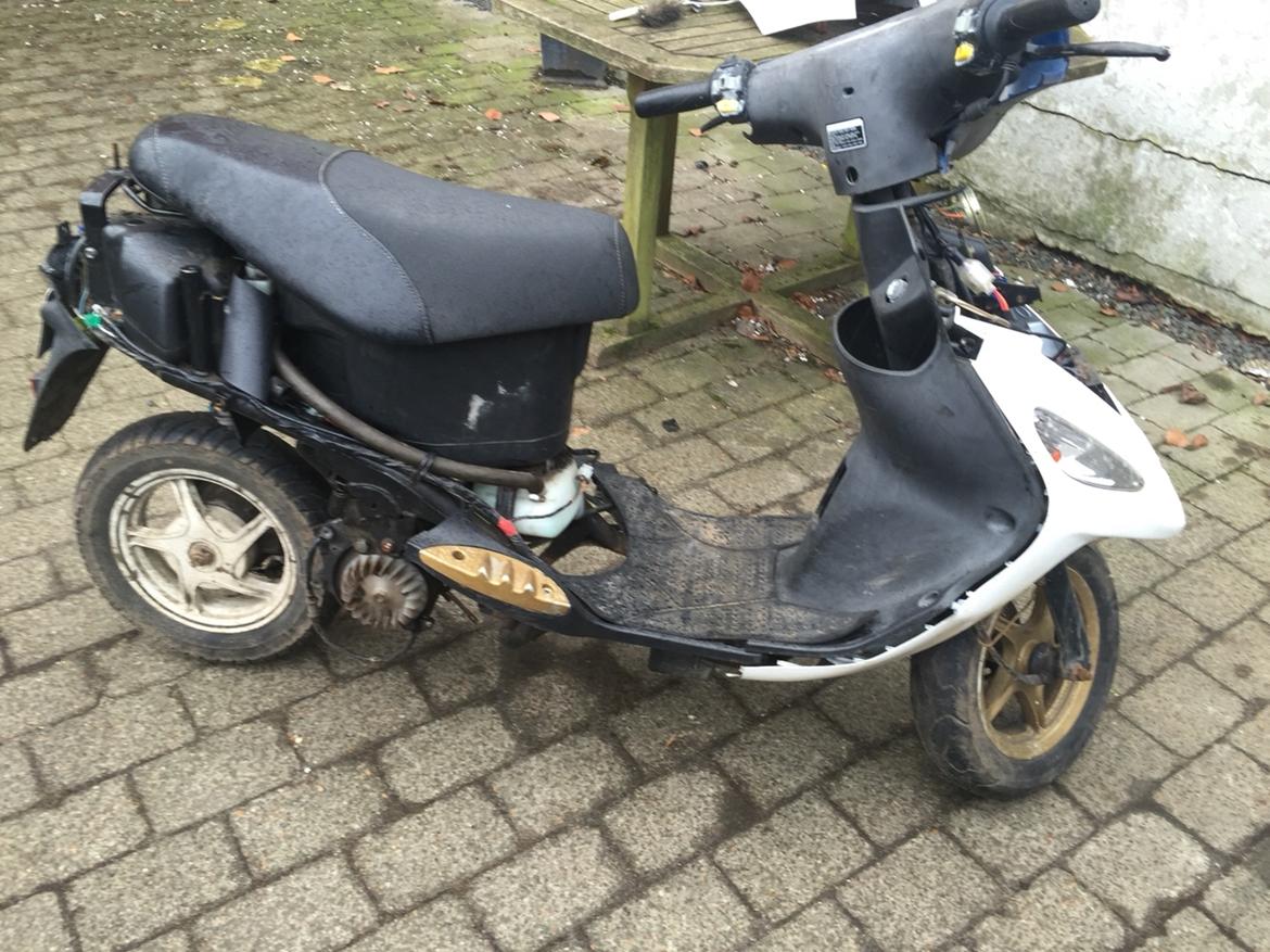 PGO White magic billede 8