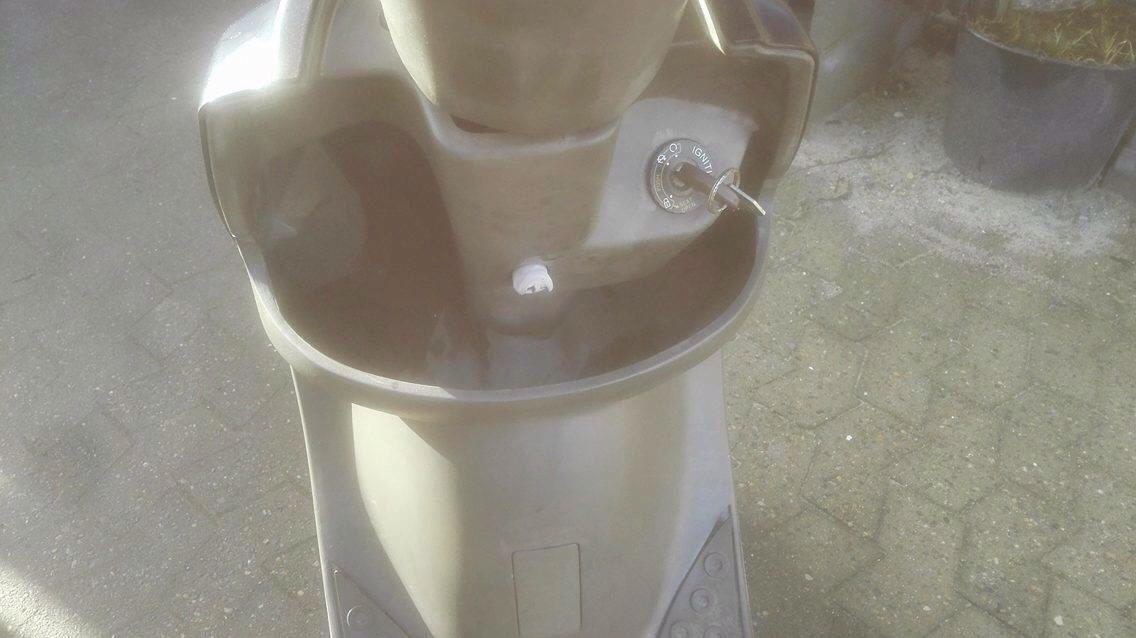 PGO Rodoshow billede 9