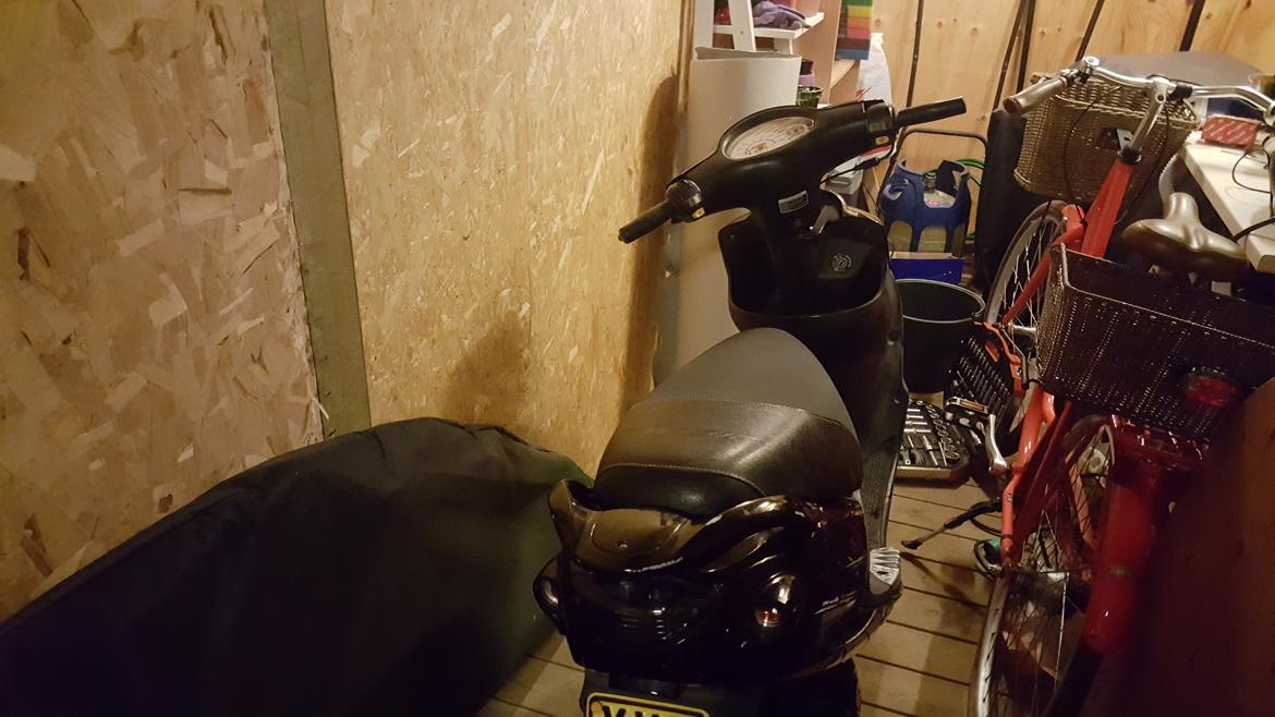 PGO black magic billede 3