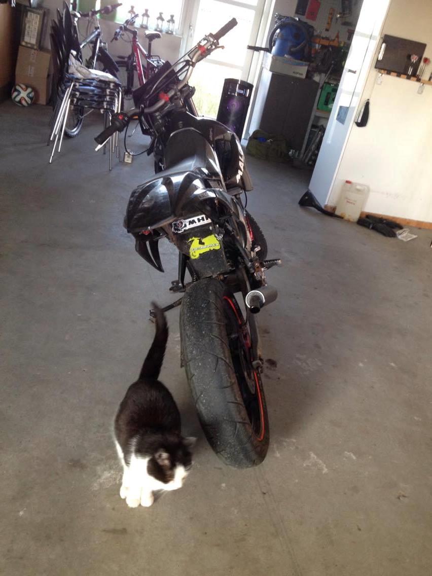 Derbi Senda billede 5