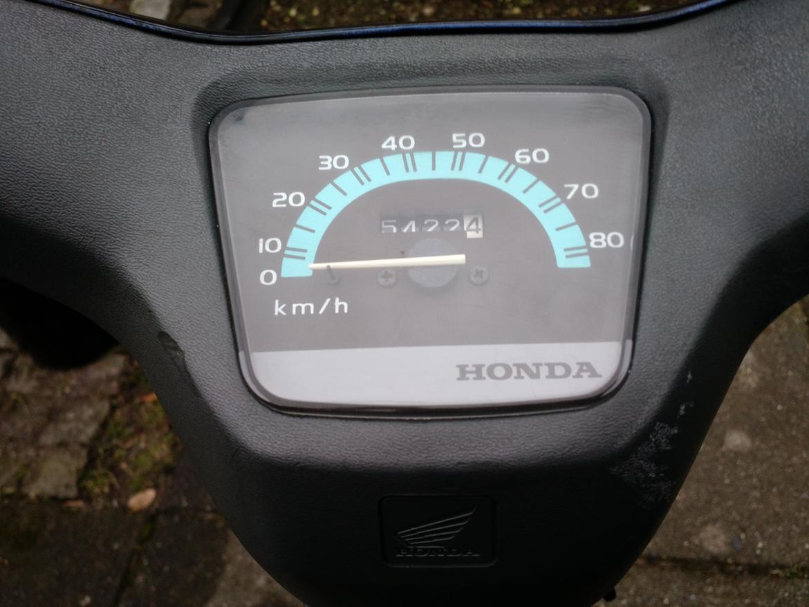 Honda Wallaroo PK50 Død - Har haft den oppe at ramme 60 :) billede 7