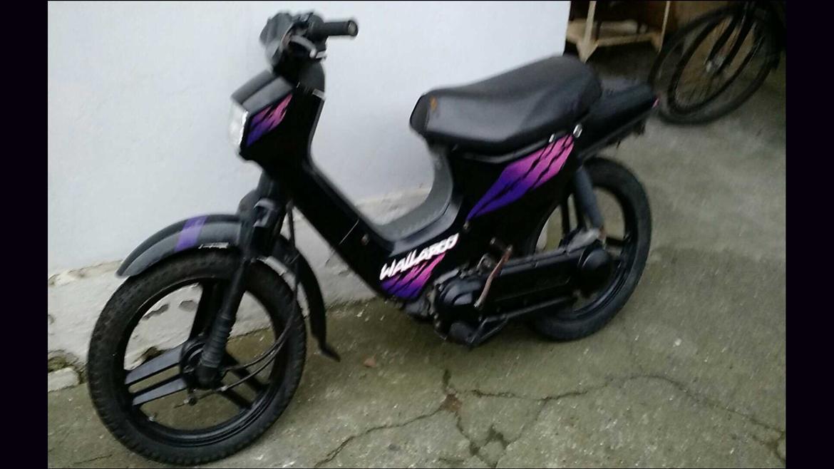 Honda Wallaroo PK50 Død billede 11