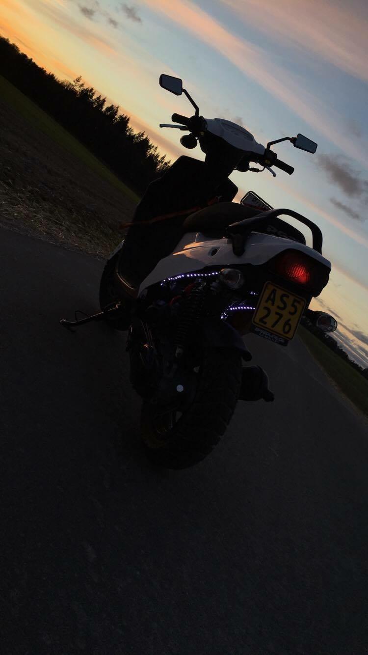 PGO Hot 50  billede 4