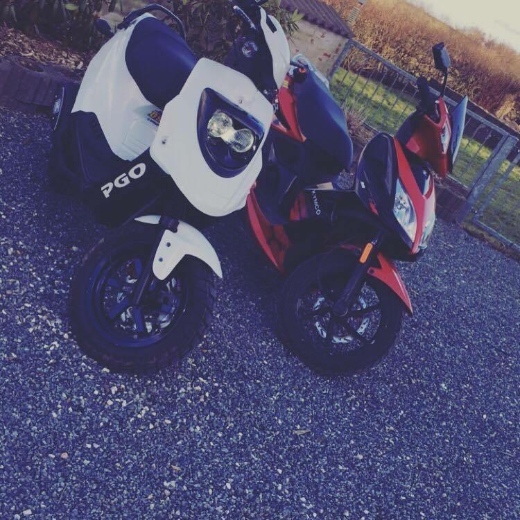 PGO Hot 50  billede 9