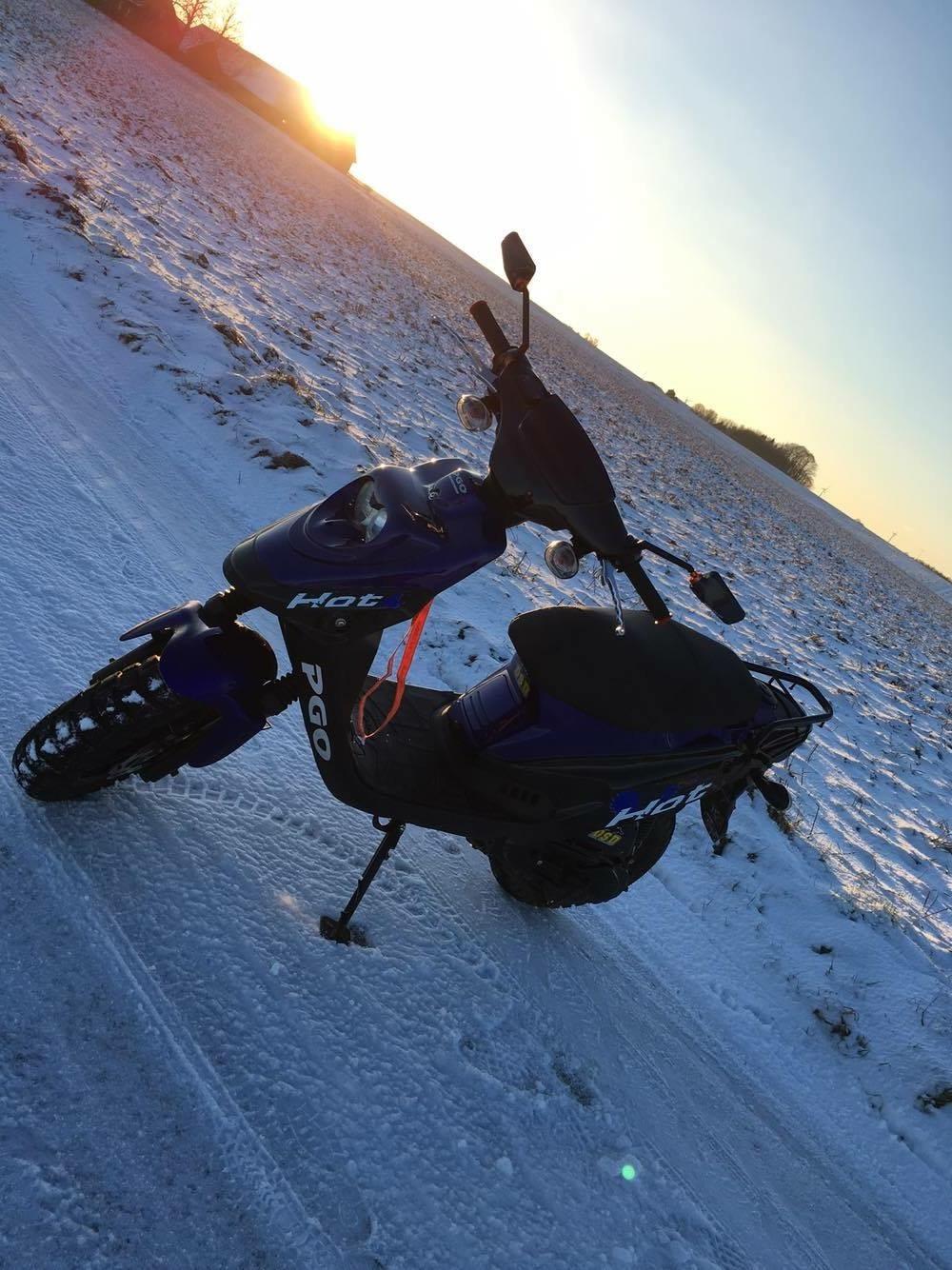 PGO Hot 50  billede 16