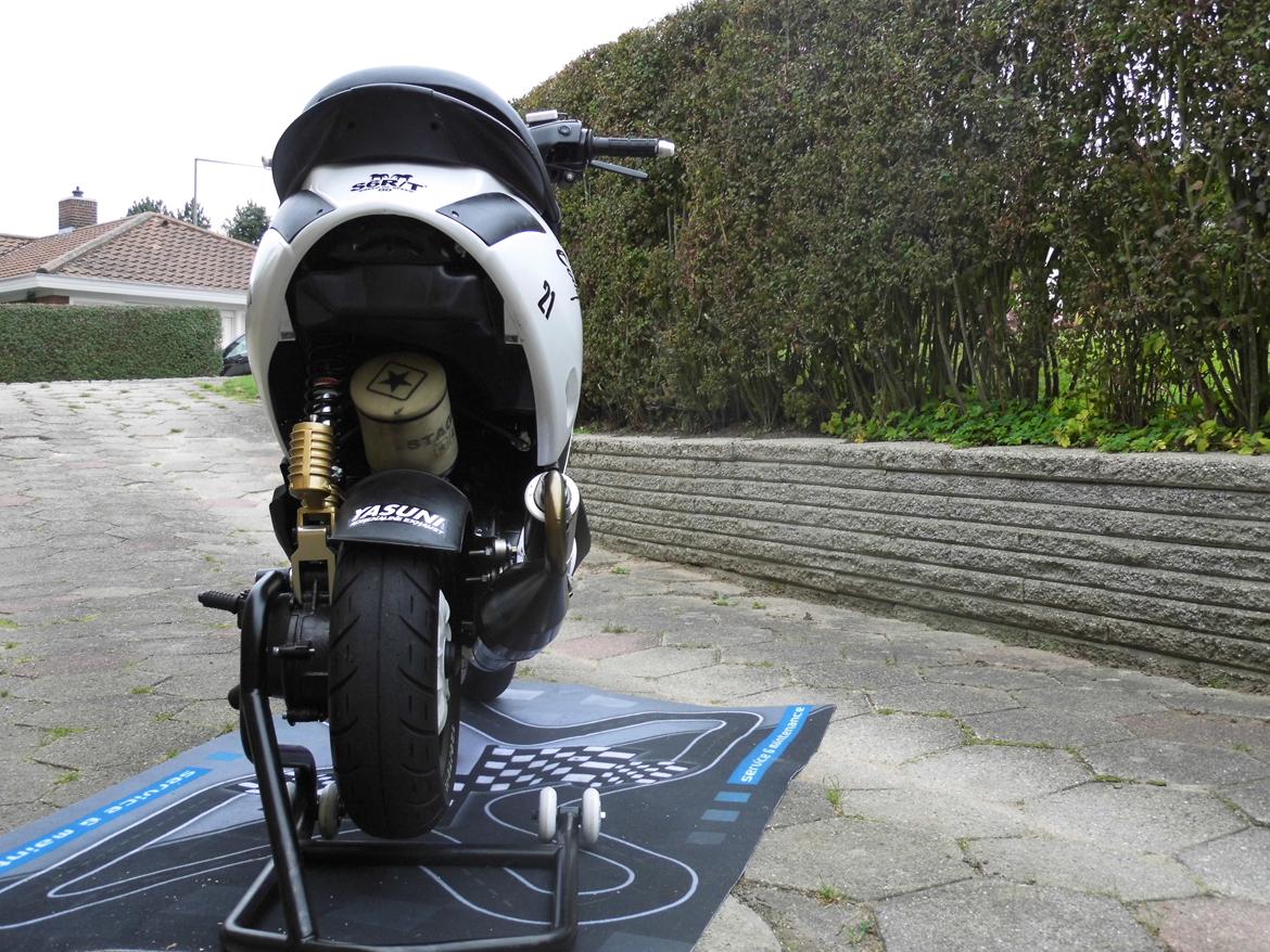 Piaggio New zip billede 1