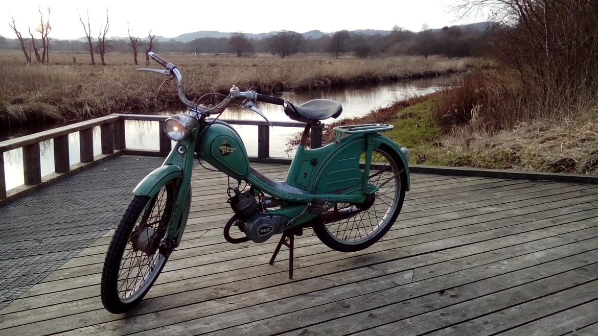 Veteraner Rex 2-gear billede 3