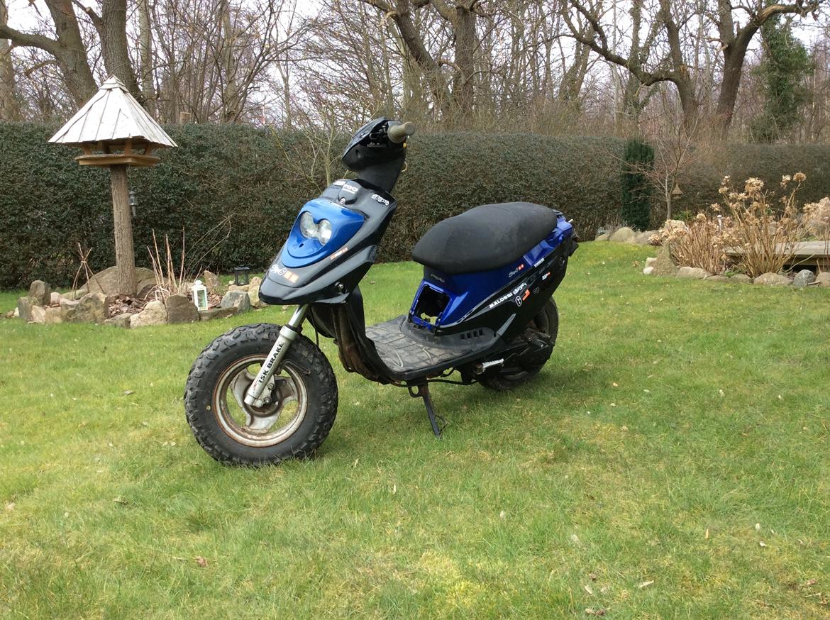 PGO Hot 50 billede 4