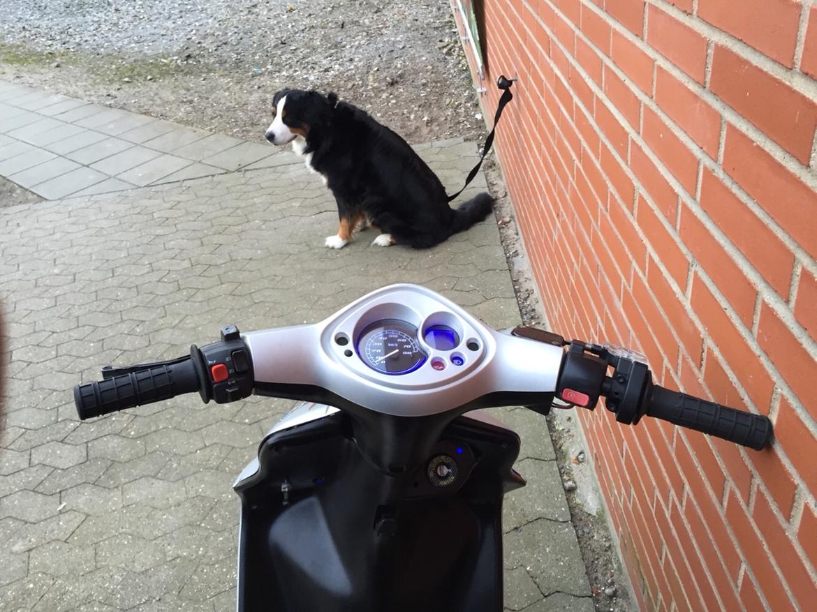 Yamaha Jog R billede 8