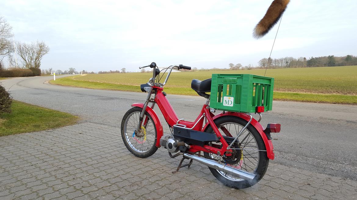 Puch Maxi K billede 15