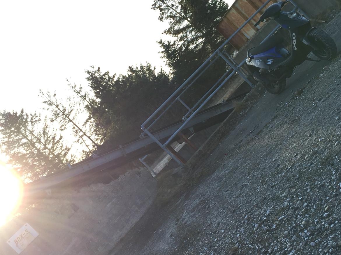 PGO Hot 50 (SOLGT) billede 6