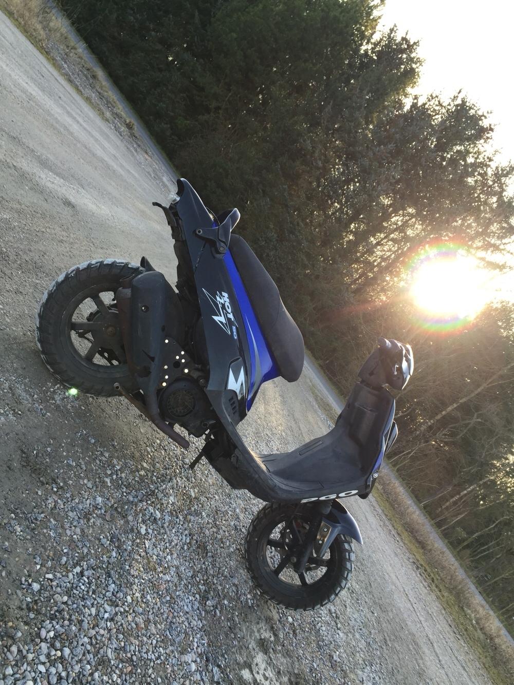 PGO Hot 50 (SOLGT) billede 8