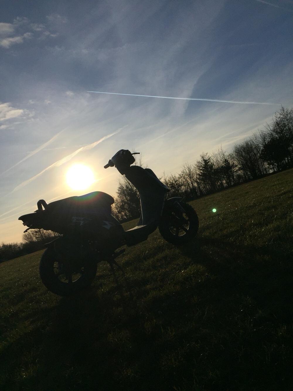 PGO Hot 50 (SOLGT) billede 12