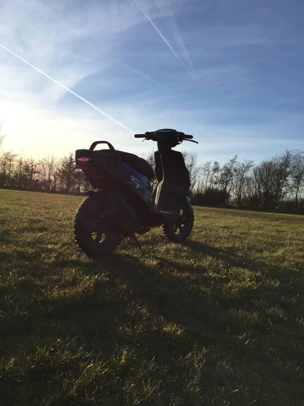 PGO Hot 50 (SOLGT) billede 13