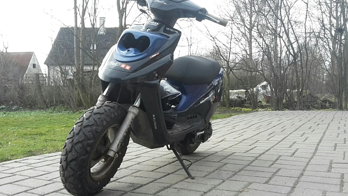 PGO Hot 50 billede 12