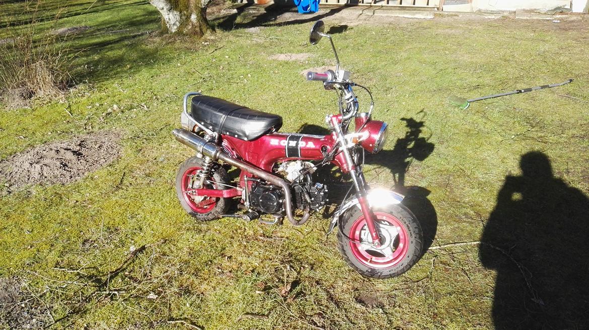 Skyteam Dax // SOLGT billede 1