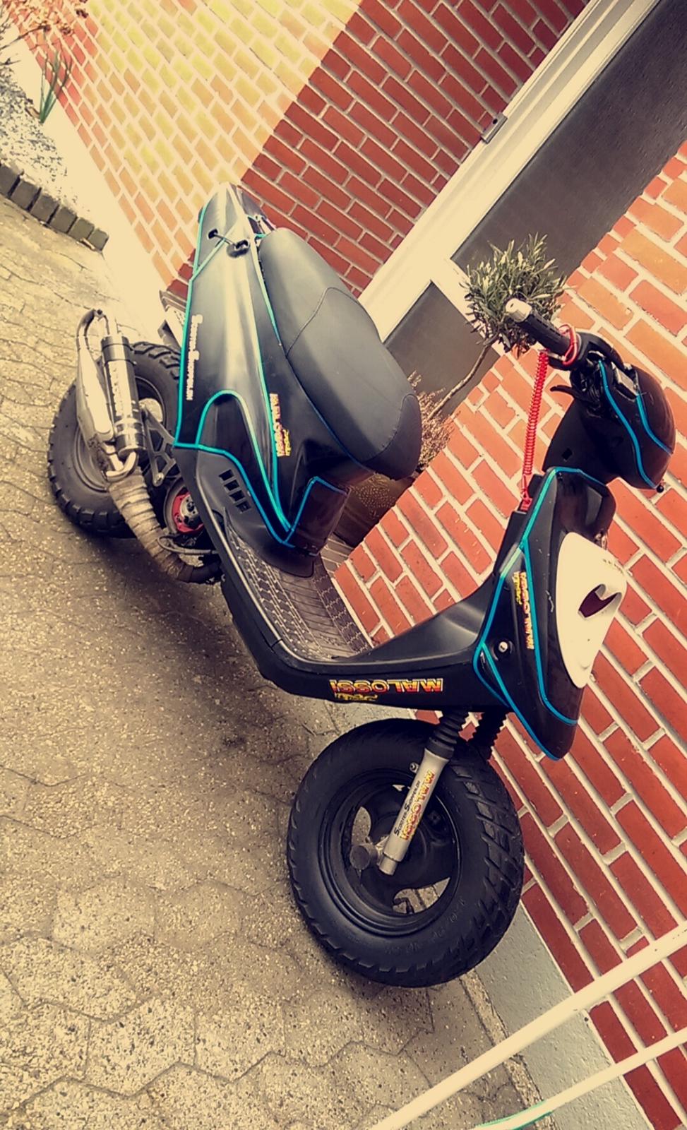 PGO hot 50 EVO |SSB|™  nye billeder  billede 7