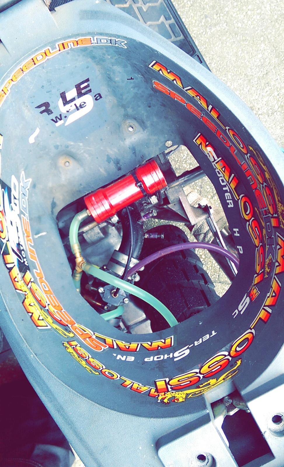 PGO hot 50 EVO |SSB|™  nye billeder  billede 12