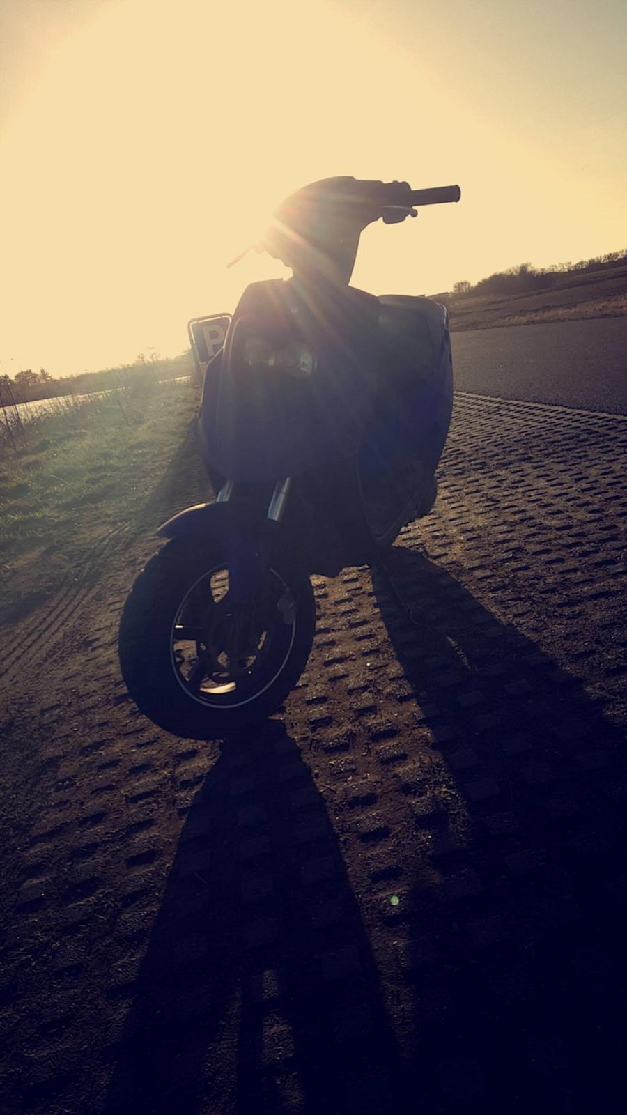 PGO Hot 50  billede 2