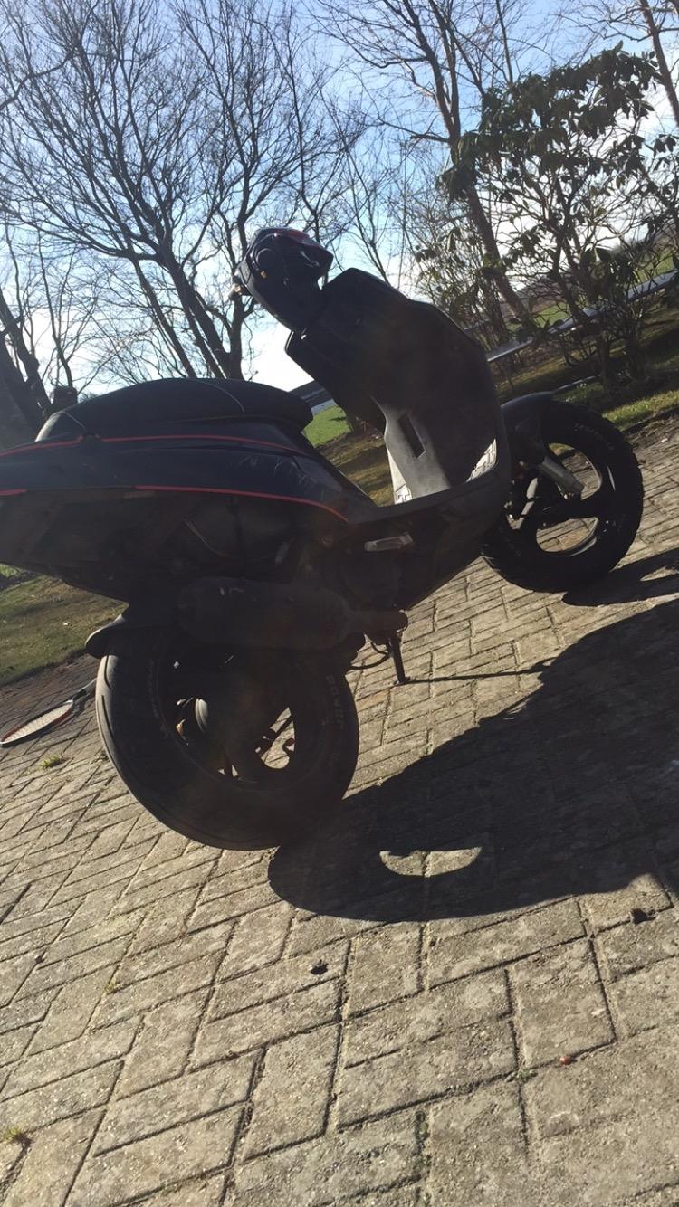 PGO Hot 50 billede 2