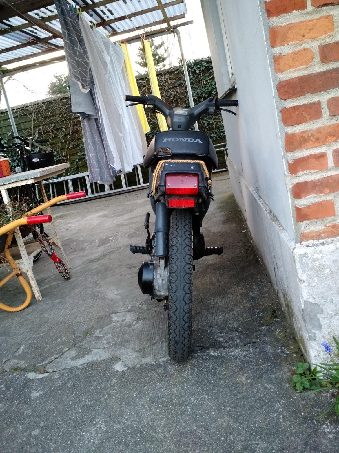 Honda Wallaroo PK50 Død billede 4