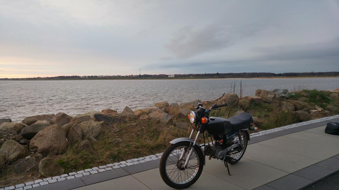 Suzuki DM50 billede 2