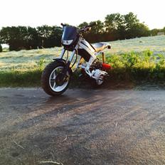 Suzuki Street magic