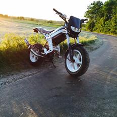 Suzuki Street magic