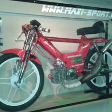 Puch maxi "GILARDONI" projekt