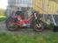 Puch Maxi  racer 