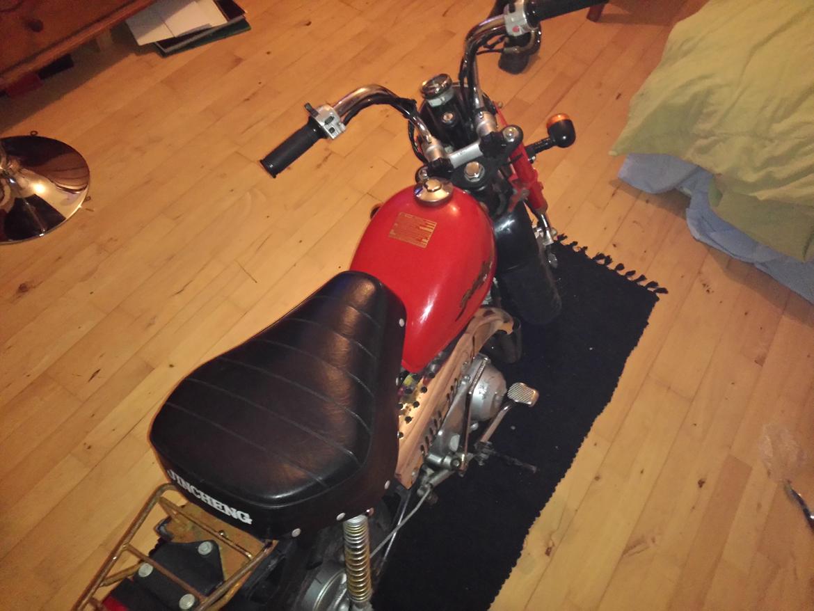 Jincheng Panda billede 4