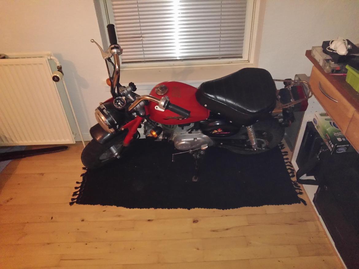 Jincheng Panda billede 2