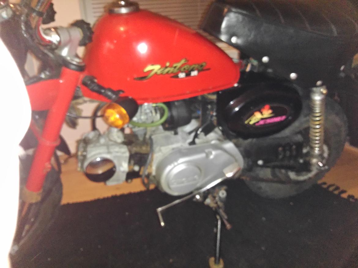 Jincheng Panda billede 7