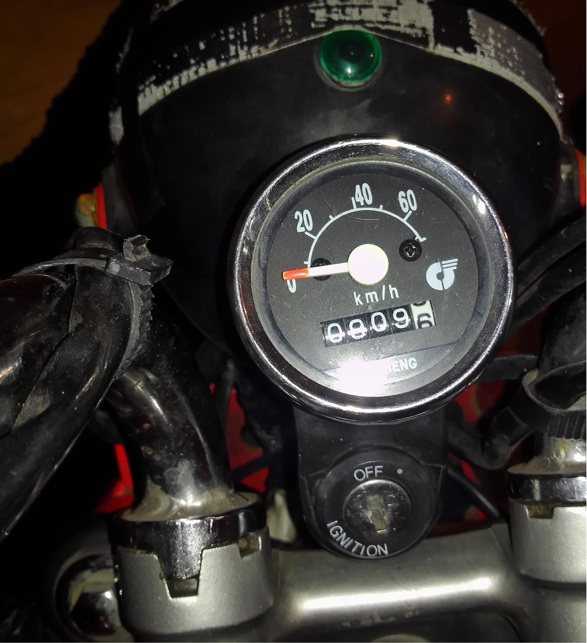 Jincheng Panda billede 8