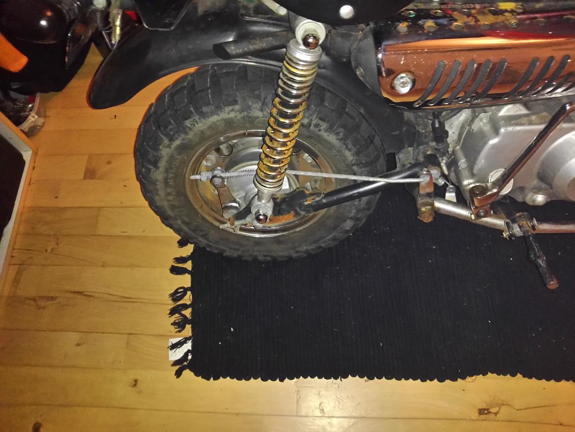 Jincheng Panda billede 9