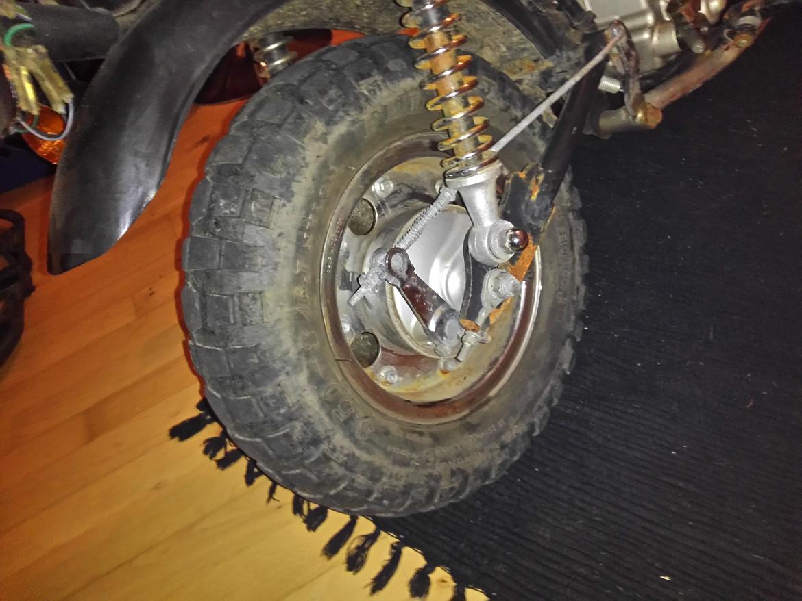 Jincheng Panda billede 10