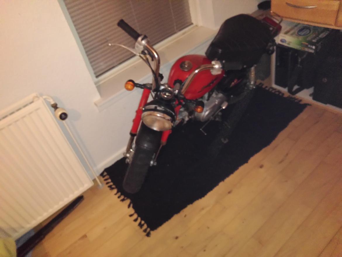 Jincheng Panda billede 3