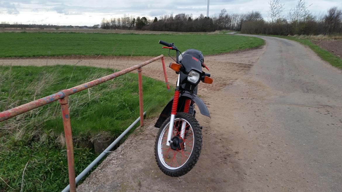 Yamaha Sting billede 1