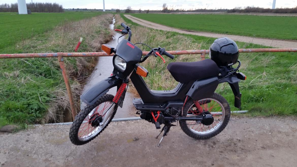 Yamaha Sting billede 3