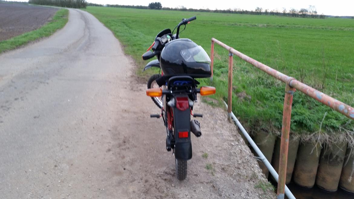 Yamaha Sting billede 4