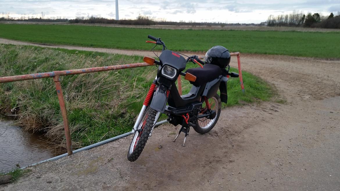 Yamaha Sting billede 2