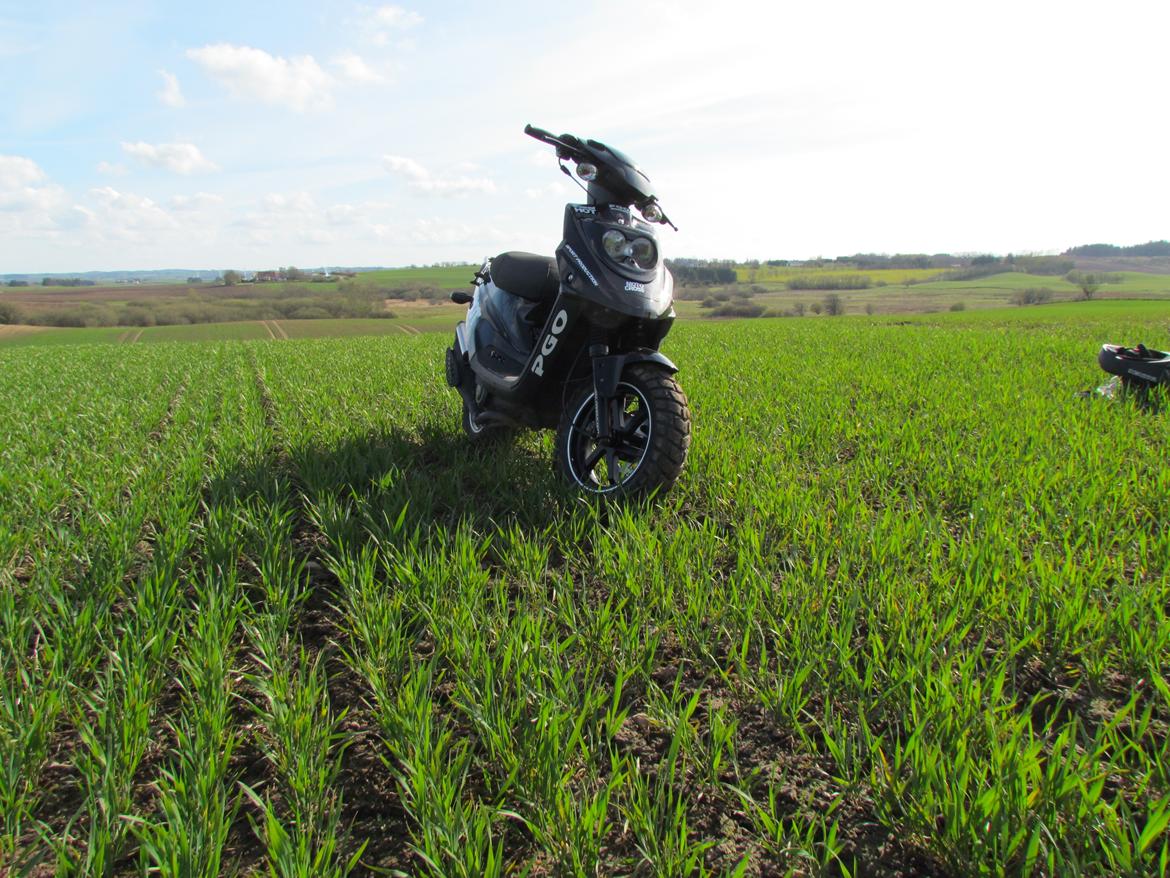 PGO Hot 50 billede 5