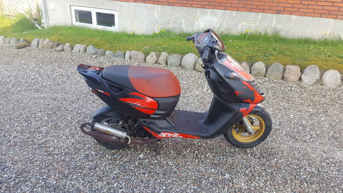 Aprilia Sonic Gp billede 1
