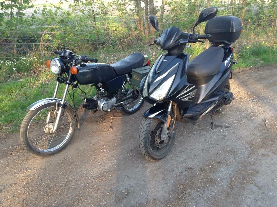 Giantco LamBros R billede 1