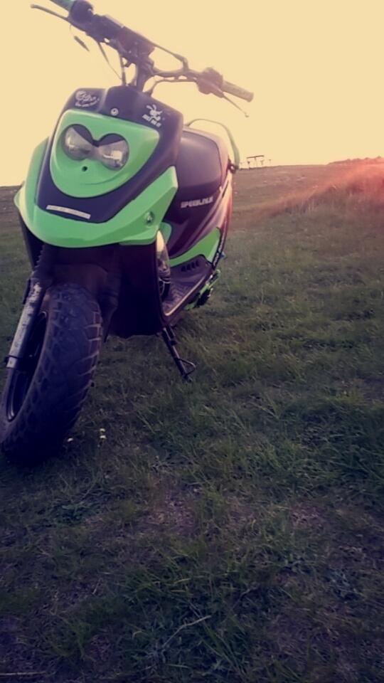 PGO Hot 50 billede 3